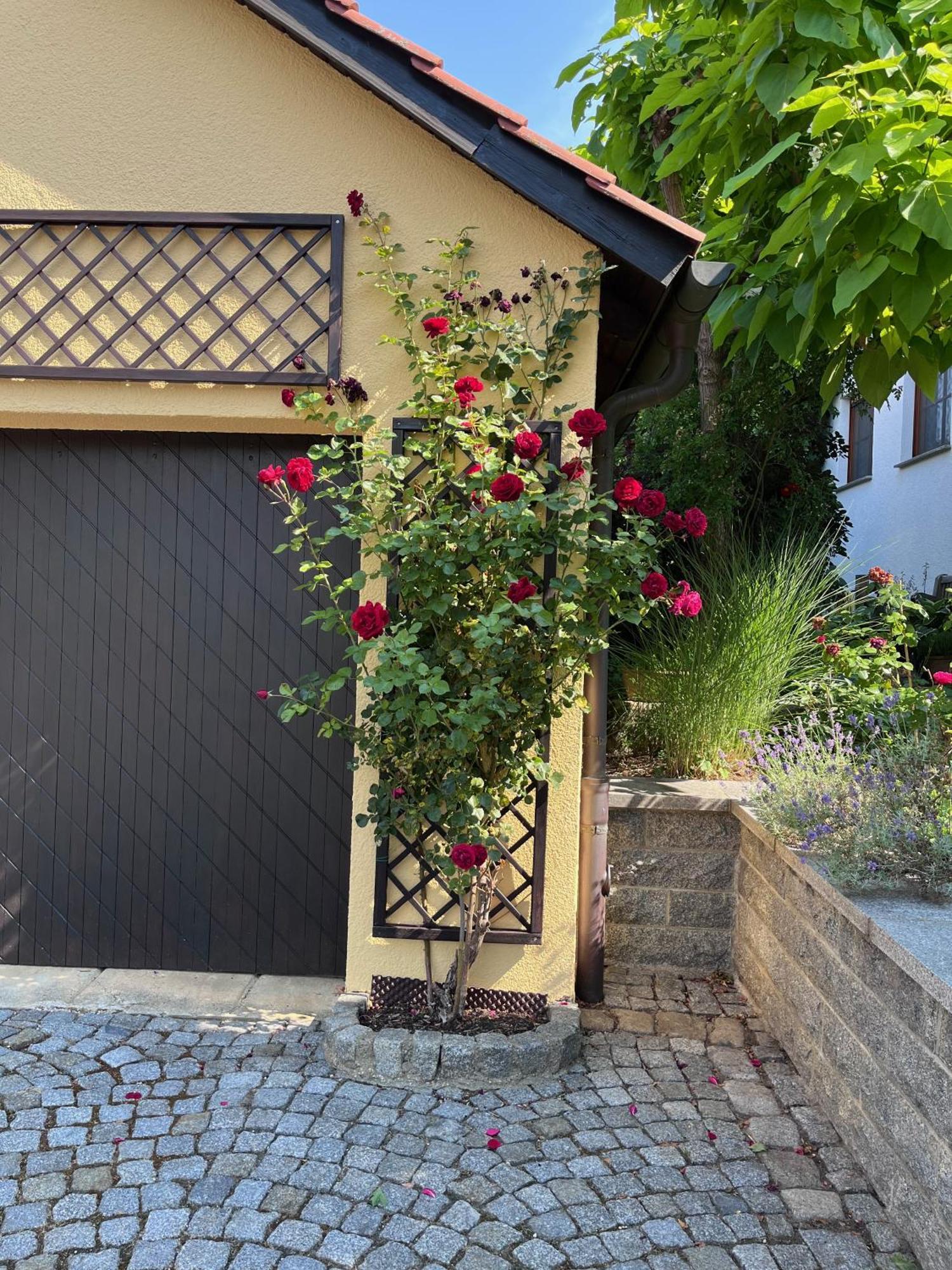 Ferienoase In Der Bierstadt Radeberg Bei Dresden Екстериор снимка